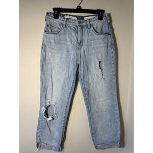 Anthropologie Pilcro Relaxed Straight Jeans Size 29